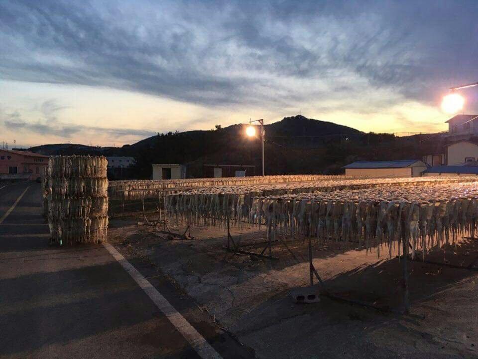 Tobang Red Clay Pension Pohang Eksteriør bilde